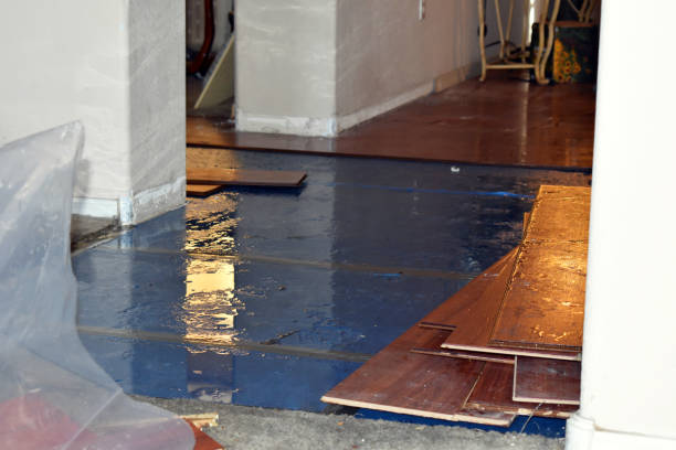Professional Water Extraction technician working in Lyons, TX